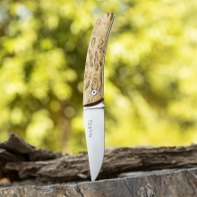 MUELA NP-8B