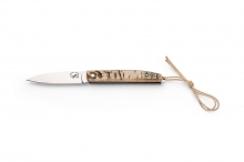 SALAMANDRA CARNERO 100425