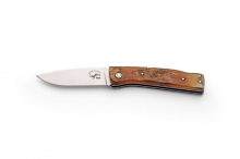 SALAMANDRA AURA BUEY 304762