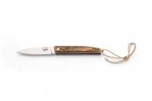 SALAMANDRA CUERNO DE BUEY 100472